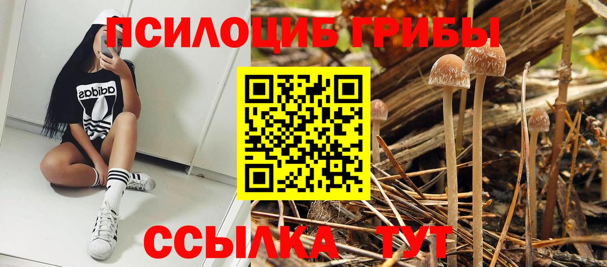 купить   Вход с VPN  Россошь  Галлюциногенные грибы мухоморы  Псилоцибиновые грибы GOLDEN TEACHER 