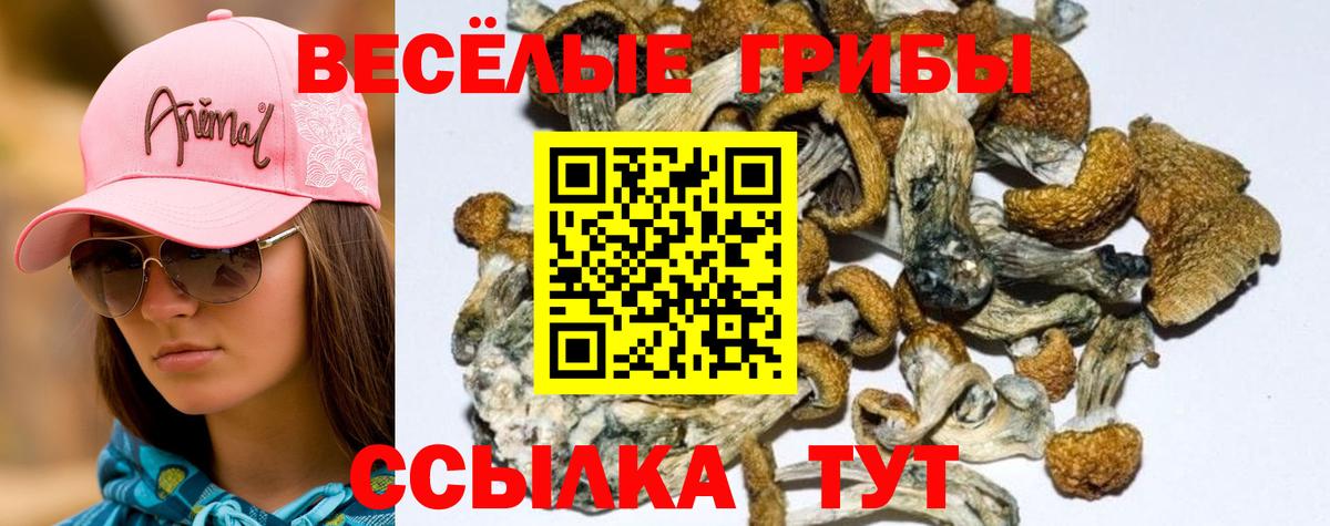 Псилоцибиновые грибы прущие грибы Россошь